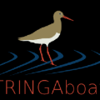 TRINGAboat