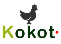 Kokot