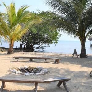 Opportunities in Belize 